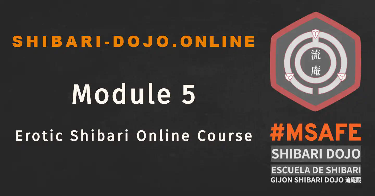 Module 5 - Putting Techniques into Play